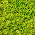 Materiale di riempimento SizzlePak verde anice 10kg